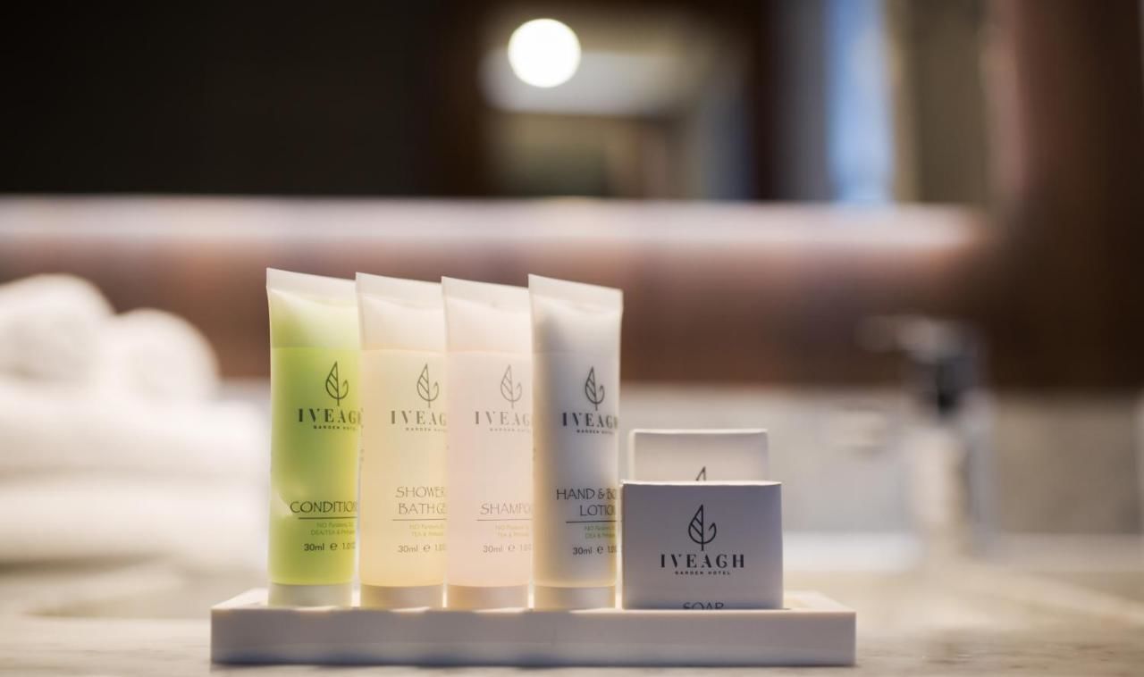 Отель Iveagh Garden Hotel Дублин