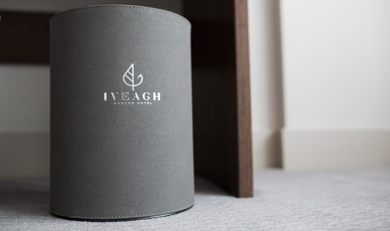 Отель Iveagh Garden Hotel Дублин-21